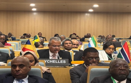 Vice President Pillay Represents President Herminie at the 35th African Peer Review Forum during the 39th AU Assembly