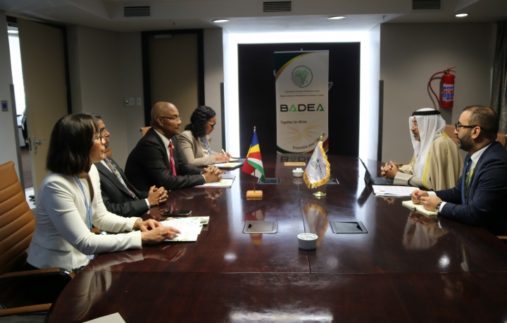 President Herminie Holds Bilateral Meeting with President of BADEA