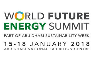 Representing SIDS DOCK at the World Future Energy Summit